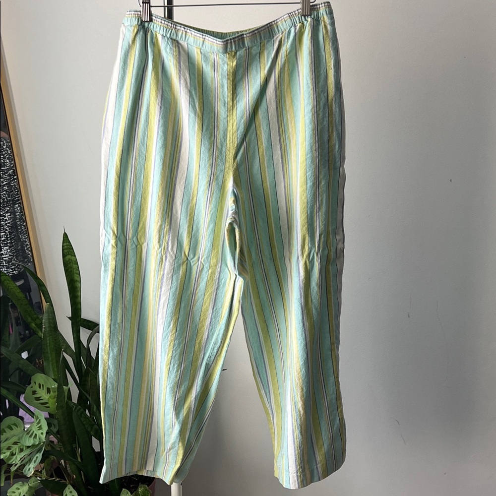 Coldwater Creek Multicolor Striped Pants XLP